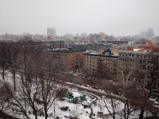 Friends of Morningside Park in New York City, New York, United States - #2 Photo of Point of interest, Establishment