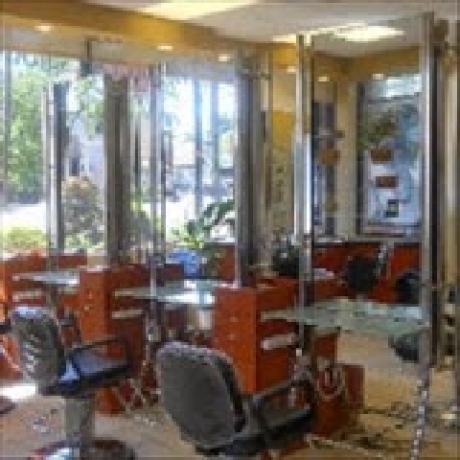 Salon D in Eastchester City, New York, United States - #1 Photo of Point of interest, Establishment, Beauty salon, Hair care