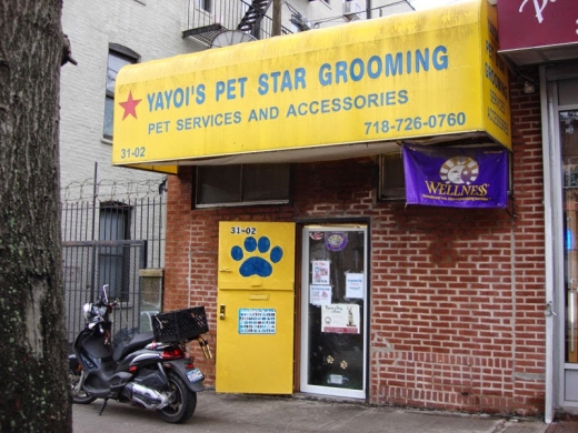 Pet Star Grooming in Queens City, New York, United States - #2 Photo of Point of interest, Establishment