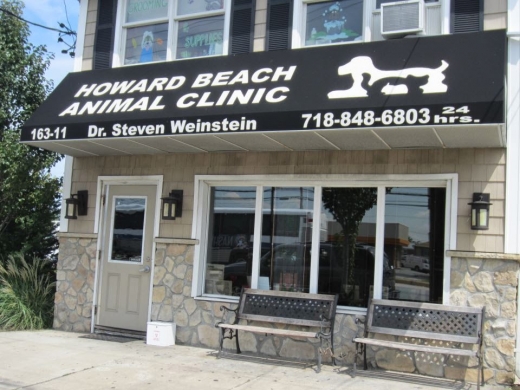 Howard Beach Animal Clinic PC in Howard Beach City, New York, United States - #1 Photo of Point of interest, Establishment, Veterinary care