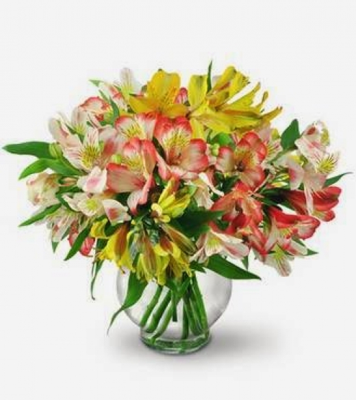 Photo by <br />
<b>Notice</b>:  Undefined index: user in <b>/home/www/activeuser/data/www/vaplace.com/core/views/default/photos.php</b> on line <b>128</b><br />
. Picture for Cappelletti Florist Inc in Union City, New Jersey, United States - Point of interest, Establishment, Store, Florist