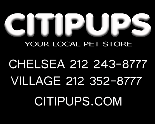 Photo by <br />
<b>Notice</b>:  Undefined index: user in <b>/home/www/activeuser/data/www/vaplace.com/core/views/default/photos.php</b> on line <b>128</b><br />
. Picture for Citipups Village in New York City, New York, United States - Point of interest, Establishment, Store, Pet store