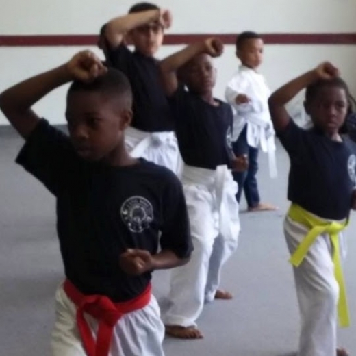 Photo by Harlem lil Dragons Kids Karate class for Harlem lil Dragons Kids Karate class