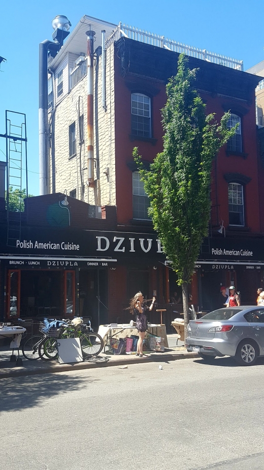 Dziupla in Brooklyn City, New York, United States - #4 Photo of Restaurant, Food, Point of interest, Establishment
