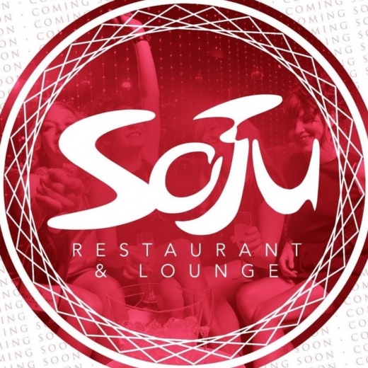 Soju Restaurant & Lounge in New York City, New York, United States - #3 Photo of Restaurant, Food, Point of interest, Establishment, Bar