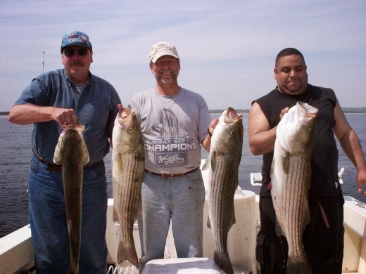 Photo by <br />
<b>Notice</b>:  Undefined index: user in <b>/home/www/activeuser/data/www/vaplace.com/core/views/default/photos.php</b> on line <b>128</b><br />
. Picture for Angler Sportfishing Charters in Staten Island City, New York, United States - Point of interest, Establishment