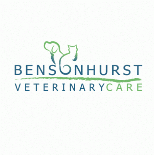 Photo by Bensonhurst Veterinary Care for Bensonhurst Veterinary Care