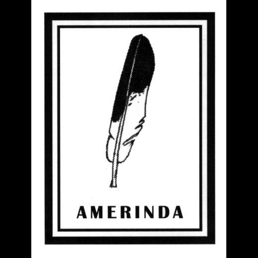Amerinda Inc in New York City, New York, United States - #2 Photo of Point of interest, Establishment, Art gallery