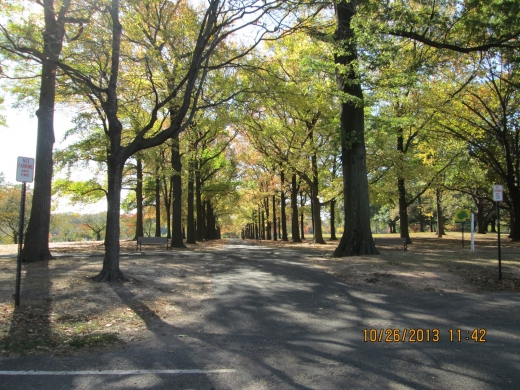 Veteran's Memorial Park in Passaic City, New Jersey, United States - #2 Photo of Point of interest, Establishment, Park