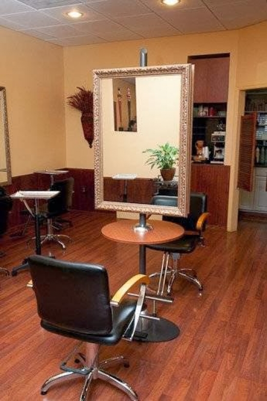 Mauro Tollis Salon Hair Colour Group in Woodland Park City, New Jersey, United States - #1 Photo of Point of interest, Establishment, Beauty salon, Hair care