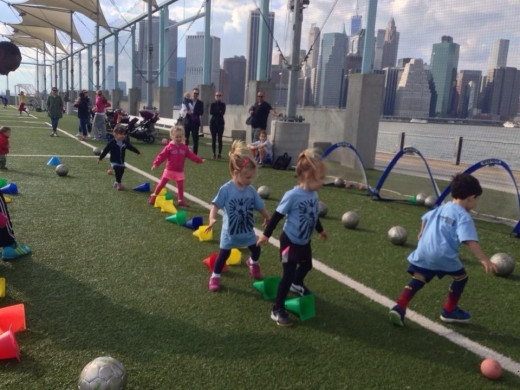 Pro Soccer Kids in Rockville Centre City, New York, United States - #2 Photo of Point of interest, Establishment, Store