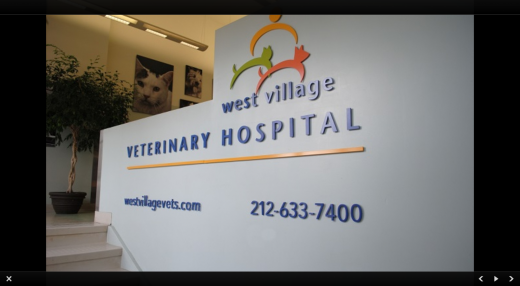 West Village Veterinary Hospital in New York City, New York, United States - #3 Photo of Point of interest, Establishment, Veterinary care