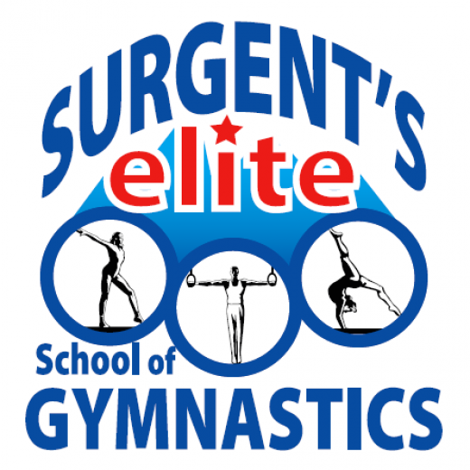 Surgent's Elite School Elite School of Gymnastics in Roselle Park City, New Jersey, United States - #2 Photo of Point of interest, Establishment, Health, Gym