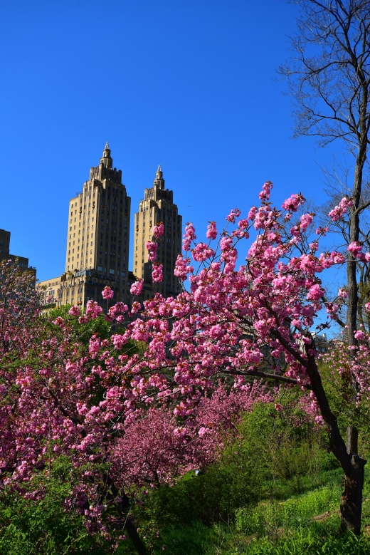 300 Central Park W Apartments Corporation in New York City, New York, United States - #3 Photo of Point of interest, Establishment