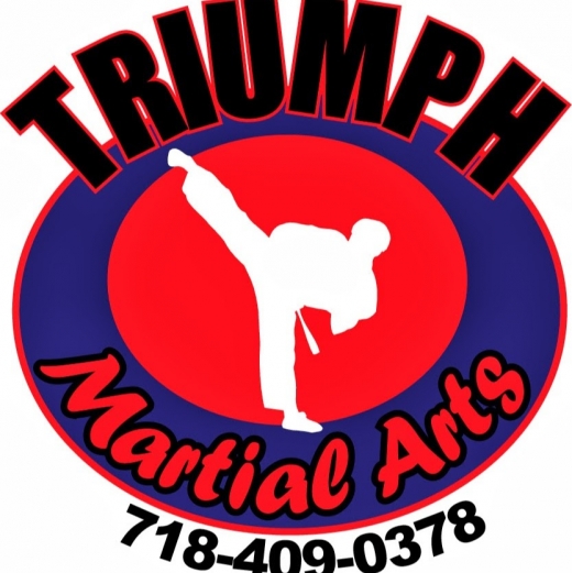 Triumph Martial Arts, LLC in Bronx City, New York, United States - #1 Photo of Point of interest, Establishment, Health