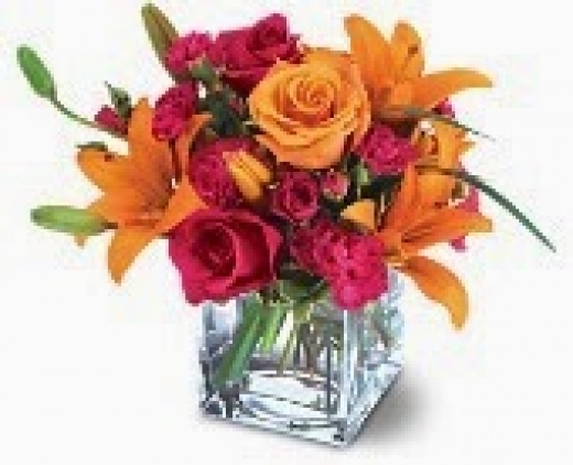 Photo by <br />
<b>Notice</b>:  Undefined index: user in <b>/home/www/activeuser/data/www/vaplace.com/core/views/default/photos.php</b> on line <b>128</b><br />
. Picture for Amour Florist in Keyport City, New Jersey, United States - Point of interest, Establishment, Store, Home goods store, Florist