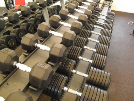 Hardbodyz Fitness in Verona City, New Jersey, United States - #3 Photo of Point of interest, Establishment, Health, Gym