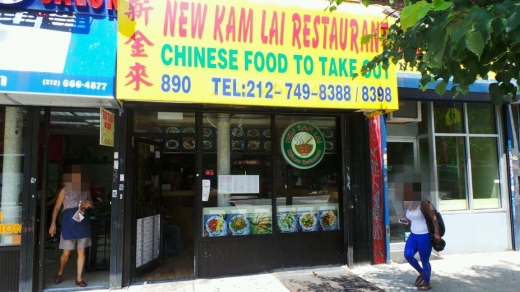 New Kam Lai in New York City, New York, United States - #2 Photo of Restaurant, Food, Point of interest, Establishment
