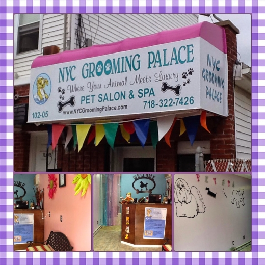 NYC Grooming Palace in Howard Beach City, New York, United States - #3 Photo of Point of interest, Establishment