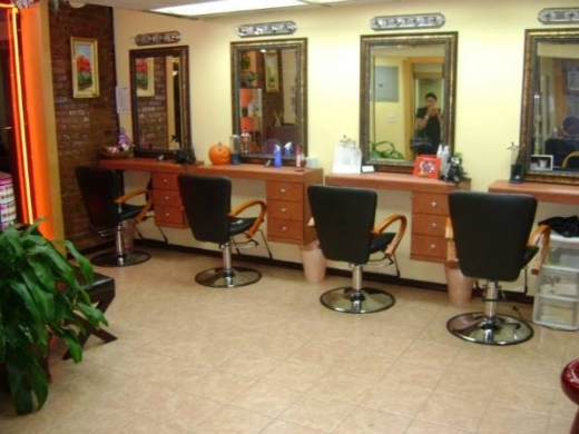 Photo by <br />
<b>Notice</b>:  Undefined index: user in <b>/home/www/activeuser/data/www/vaplace.com/core/views/default/photos.php</b> on line <b>128</b><br />
. Picture for Thayer Beauty Salon in New York City, New York, United States - Point of interest, Establishment, Beauty salon, Hair care