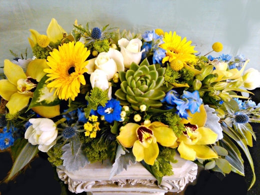 Photo by <br />
<b>Notice</b>:  Undefined index: user in <b>/home/www/activeuser/data/www/vaplace.com/core/views/default/photos.php</b> on line <b>128</b><br />
. Picture for Dietch's Florist in Fair Lawn City, New Jersey, United States - Point of interest, Establishment, Store, Florist