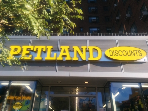 Petland Discounts inc in New York City, New York, United States - #1 Photo of Point of interest, Establishment, Store, Pet store
