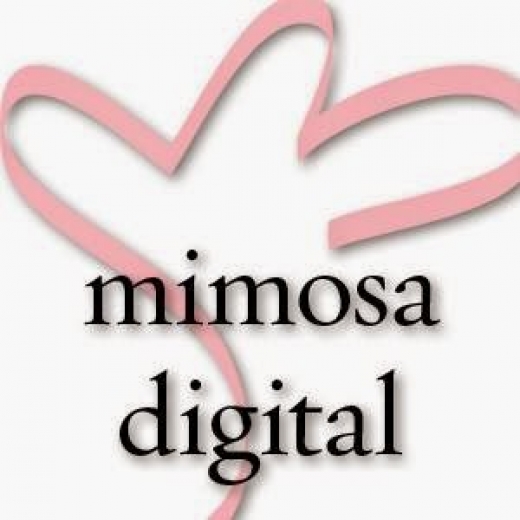 Photo by Mimosa Digital for Mimosa Digital