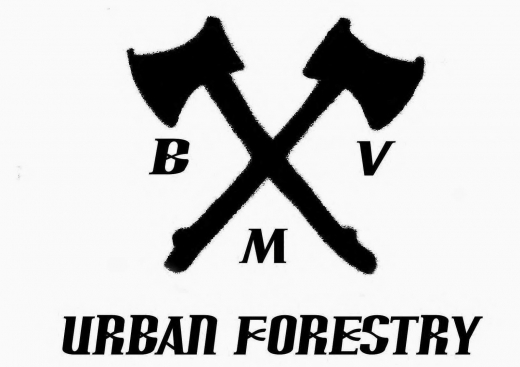 BMV Urban Forestry in Brooklyn City, New York, United States - #1 Photo of Point of interest, Establishment, General contractor