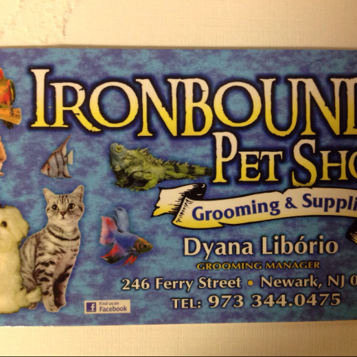 Photo by <br />
<b>Notice</b>:  Undefined index: user in <b>/home/www/activeuser/data/www/vaplace.com/core/views/default/photos.php</b> on line <b>128</b><br />
. Picture for Ironbound Pet Shop in Newark City, New Jersey, United States - Food, Point of interest, Establishment, Store, Pet store