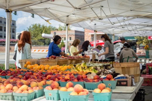 Photo by Armand Salmon for Village of Tuckahoe Farmers Market