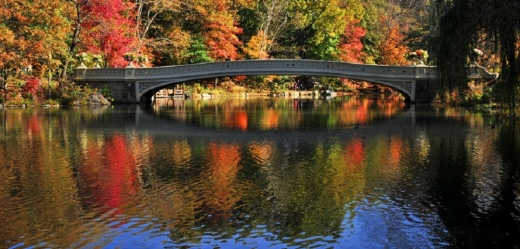 North Meadow in New York City, New York, United States - #2 Photo of Point of interest, Establishment, Park