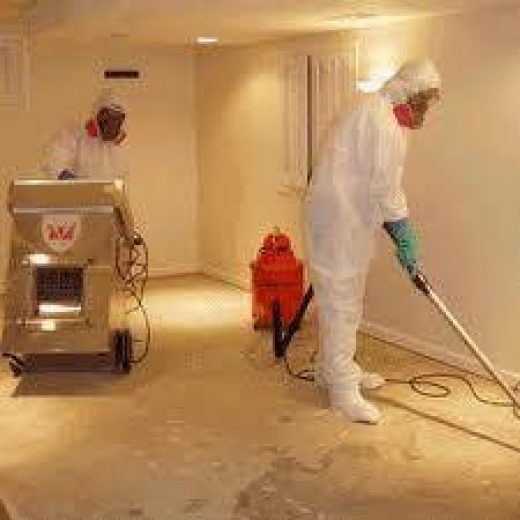 Advanced Mold Testing in Staten Island City, New York, United States - #3 Photo of Point of interest, Establishment, General contractor