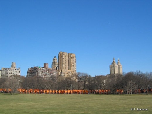 Sheep Meadow in New York City, New York, United States - #1 Photo of Point of interest, Establishment, Park