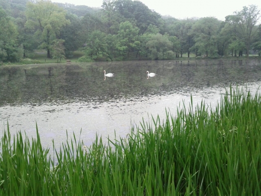 Tibbetts Brook Park in Yonkers City, New York, United States - #3 Photo of Point of interest, Establishment, Park