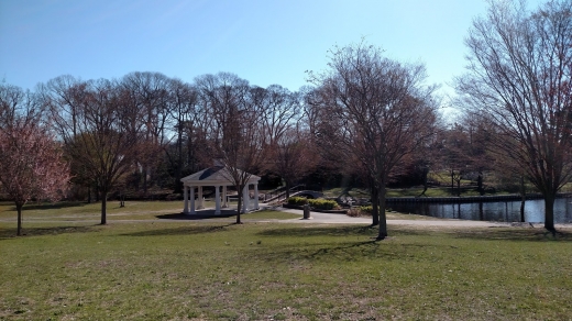 Halls Pond Park in West Hempstead City, New York, United States - #1 Photo of Point of interest, Establishment, Park