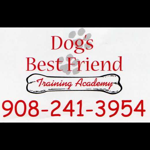 Dog's Best Friend Training Academy in Avenel City, New Jersey, United States - #1 Photo of Point of interest, Establishment