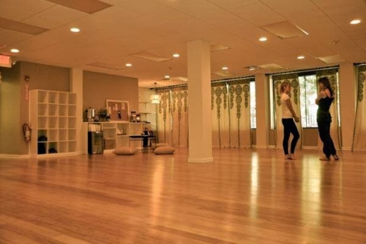 Yoga Nanda in Garden City, New York, United States - #4 Photo of Point of interest, Establishment, Health, Gym