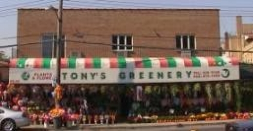 Tony's Greenery in Middle Village City, New York, United States - #1 Photo of Point of interest, Establishment, Store, Florist