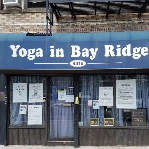 Yoga in Bay Ridge in Kings County City, New York, United States - #1 Photo of Point of interest, Establishment, Health, Gym