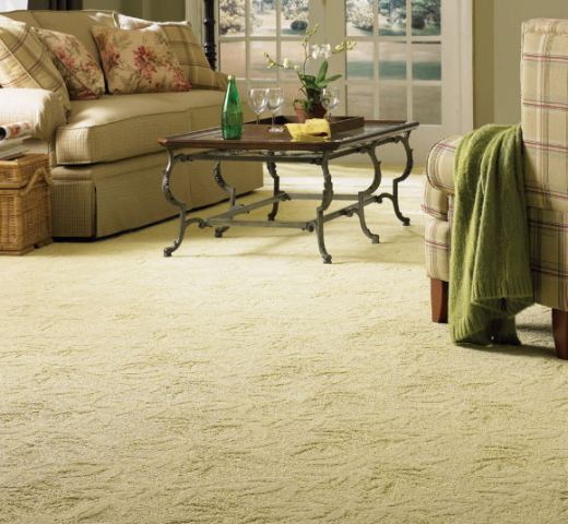 Photo by <br />
<b>Notice</b>:  Undefined index: user in <b>/home/www/activeuser/data/www/vaplace.com/core/views/default/photos.php</b> on line <b>128</b><br />
. Picture for Bay Carpet in Glendale City, New York, United States - Point of interest, Establishment