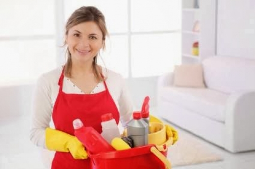 Photo by <br />
<b>Notice</b>:  Undefined index: user in <b>/home/www/activeuser/data/www/vaplace.com/core/views/default/photos.php</b> on line <b>128</b><br />
. Picture for New Jersey Cleaning Services in Wallington City, New Jersey, United States - Point of interest, Establishment