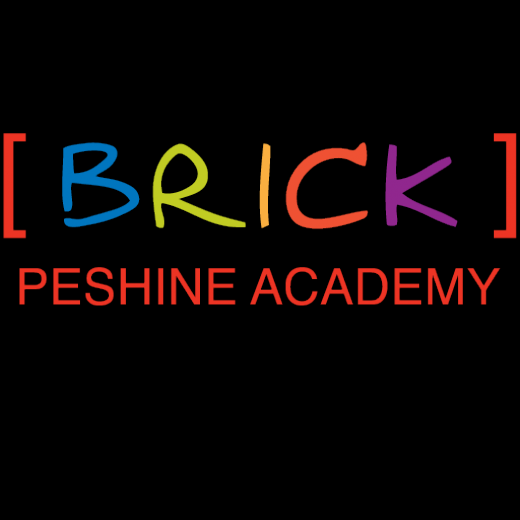 B.R.I.C.K. Peshine Academy in Newark City, New Jersey, United States - #2 Photo of Point of interest, Establishment, School