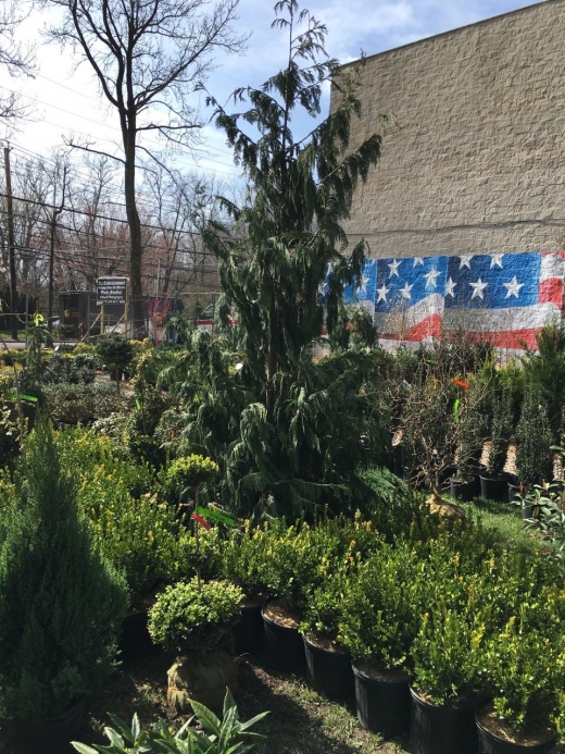 Victory Nursery & Landscaping Inc. in Richmond City, New York, United States - #4 Photo of Point of interest, Establishment, Store, General contractor