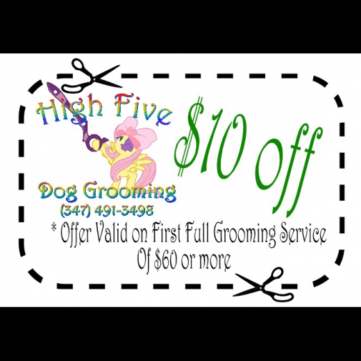 Photo by <br />
<b>Notice</b>:  Undefined index: user in <b>/home/www/activeuser/data/www/vaplace.com/core/views/default/photos.php</b> on line <b>128</b><br />
. Picture for High Five Dog Grooming in Bronx City, New York, United States - Point of interest, Establishment