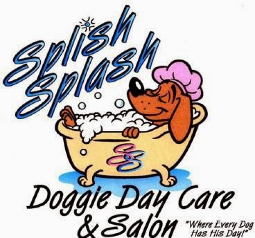 Photo by Splish Splash Dog Daycare for Splish Splash Dog Daycare