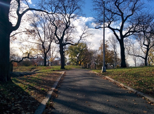 Photo by <br />
<b>Notice</b>:  Undefined index: user in <b>/home/www/activeuser/data/www/vaplace.com/core/views/default/photos.php</b> on line <b>128</b><br />
. Picture for Saint Mary's Park in Bronx City, New York, United States - Point of interest, Establishment, Park