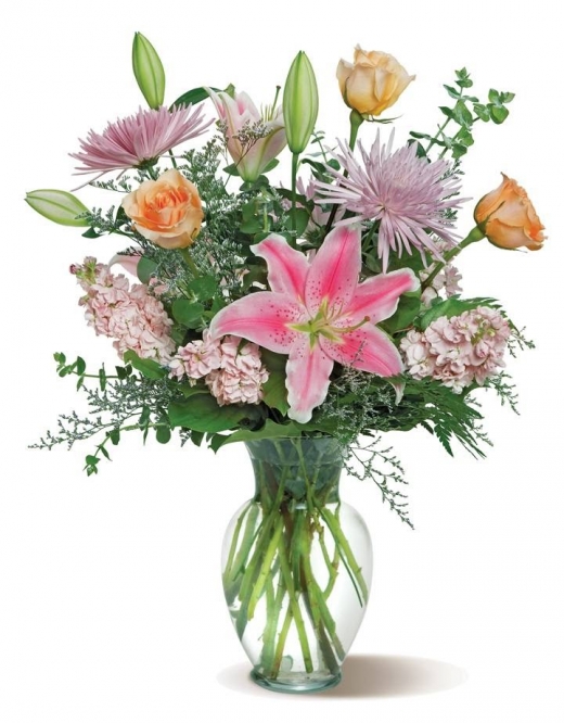 Photo by <br />
<b>Notice</b>:  Undefined index: user in <b>/home/www/activeuser/data/www/vaplace.com/core/views/default/photos.php</b> on line <b>128</b><br />
. Picture for Queen Anna's Florist in Far Rockaway City, New York, United States - Point of interest, Establishment, Store, Florist