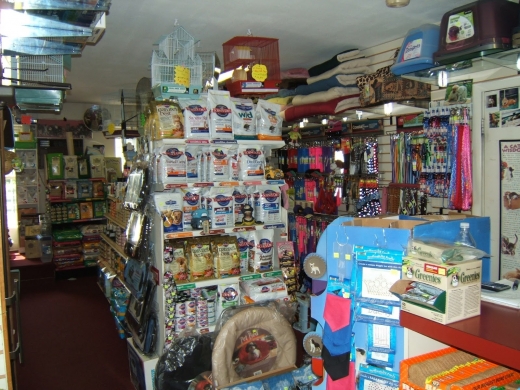 Photo by <br />
<b>Notice</b>:  Undefined index: user in <b>/home/www/activeuser/data/www/vaplace.com/core/views/default/photos.php</b> on line <b>128</b><br />
. Picture for Pete's Pet Supplies in Brooklyn City, New York, United States - Point of interest, Establishment, Store
