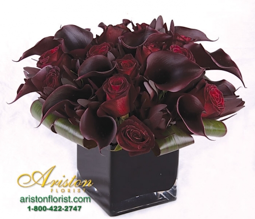 Photo by <br />
<b>Notice</b>:  Undefined index: user in <b>/home/www/activeuser/data/www/vaplace.com/core/views/default/photos.php</b> on line <b>128</b><br />
. Picture for Ariston Florist in New York City, New York, United States - Point of interest, Establishment, Store, Florist