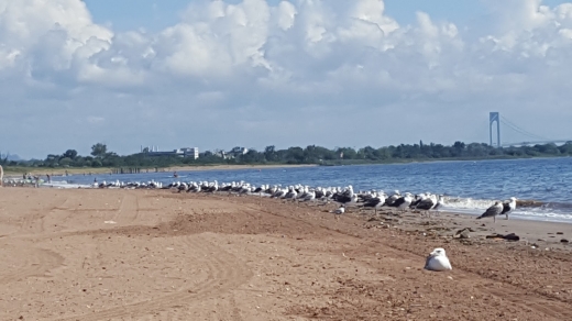 Great Kills Beach in New York City, New York, United States - #3 Photo of Point of interest, Establishment, Park